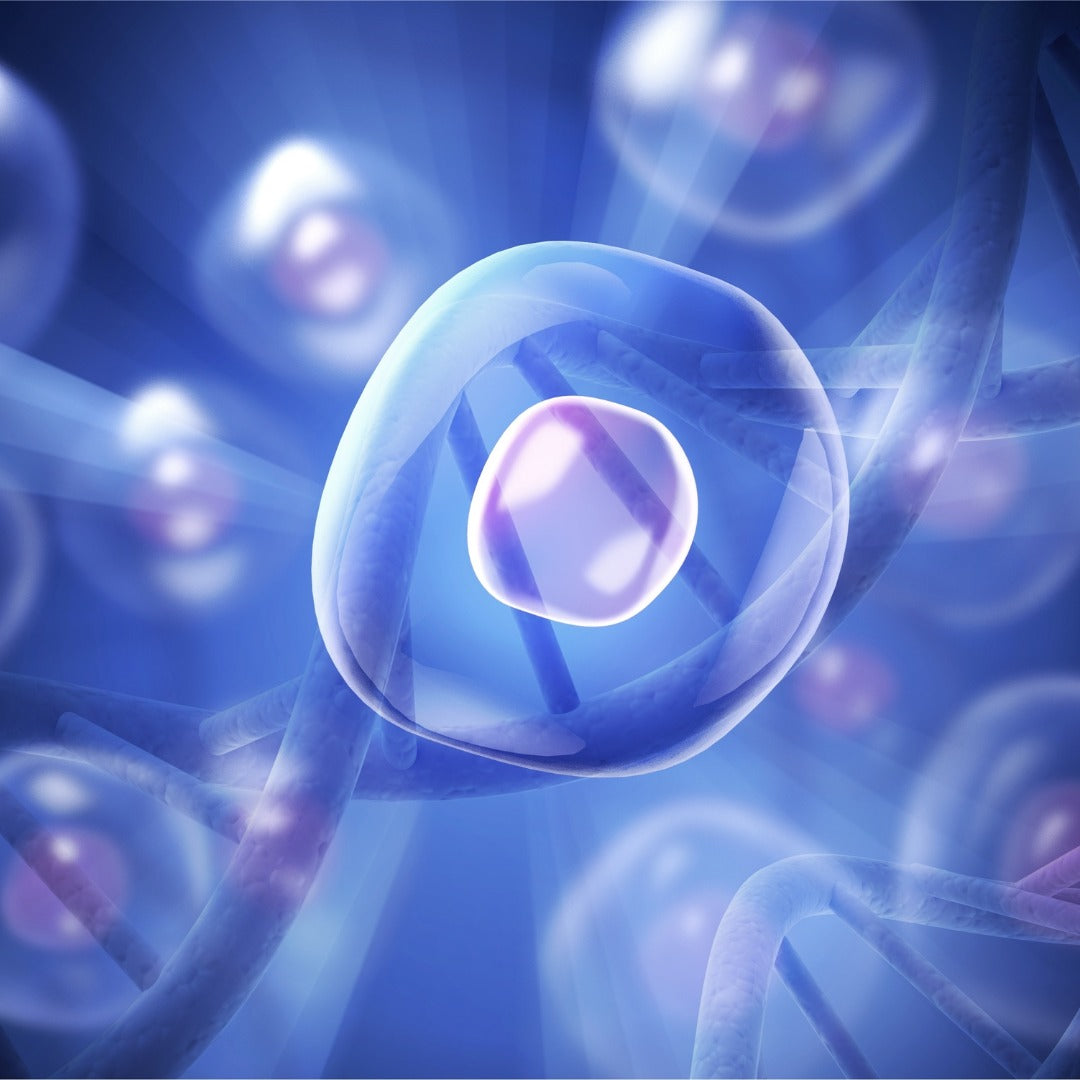 Discover the Mysteries of Red Light Therapy