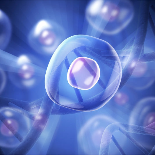 Discover the Mysteries of Red Light Therapy